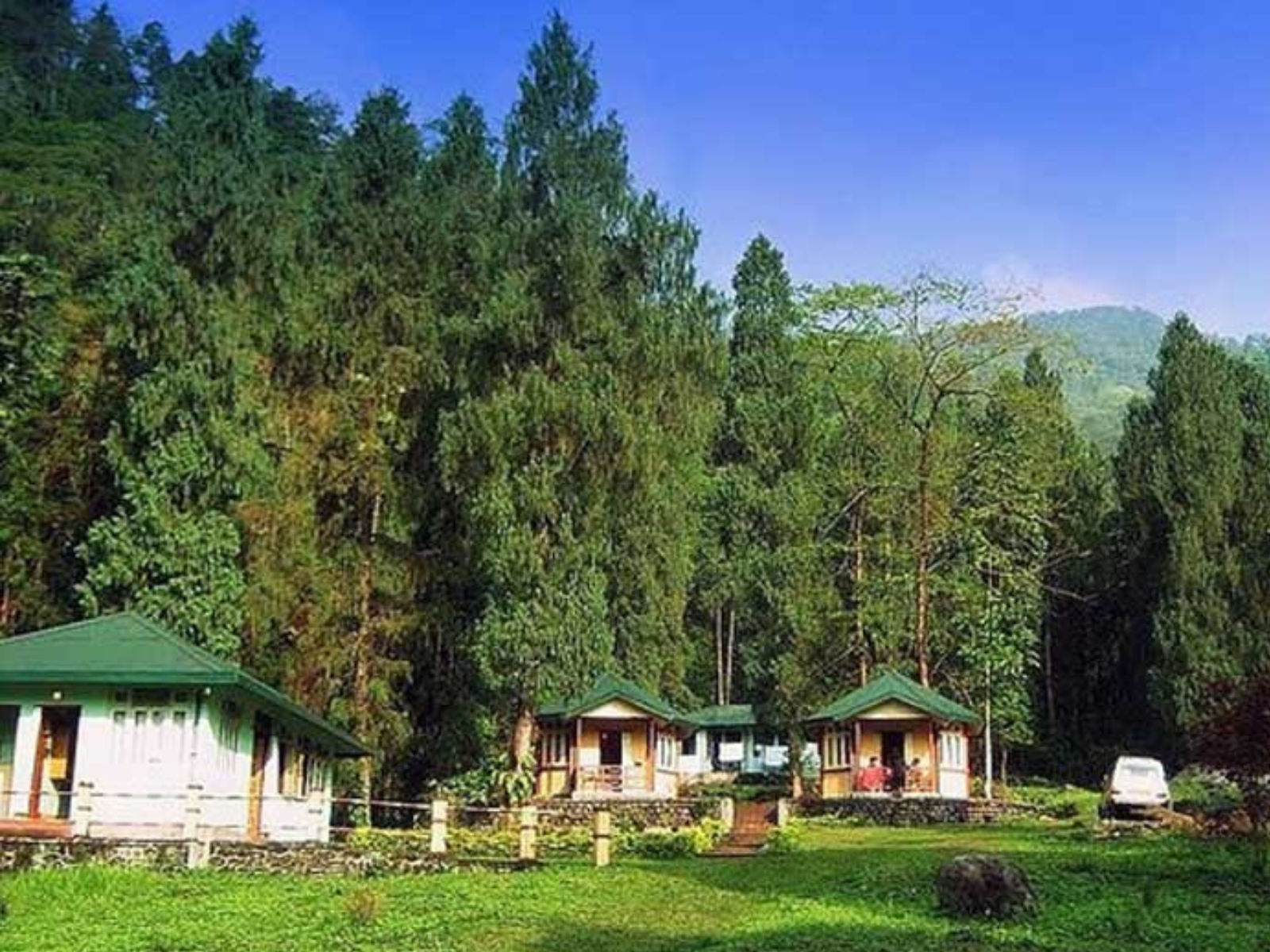 Green-roofed forest cottages on a lawn below tall conifers at Paren