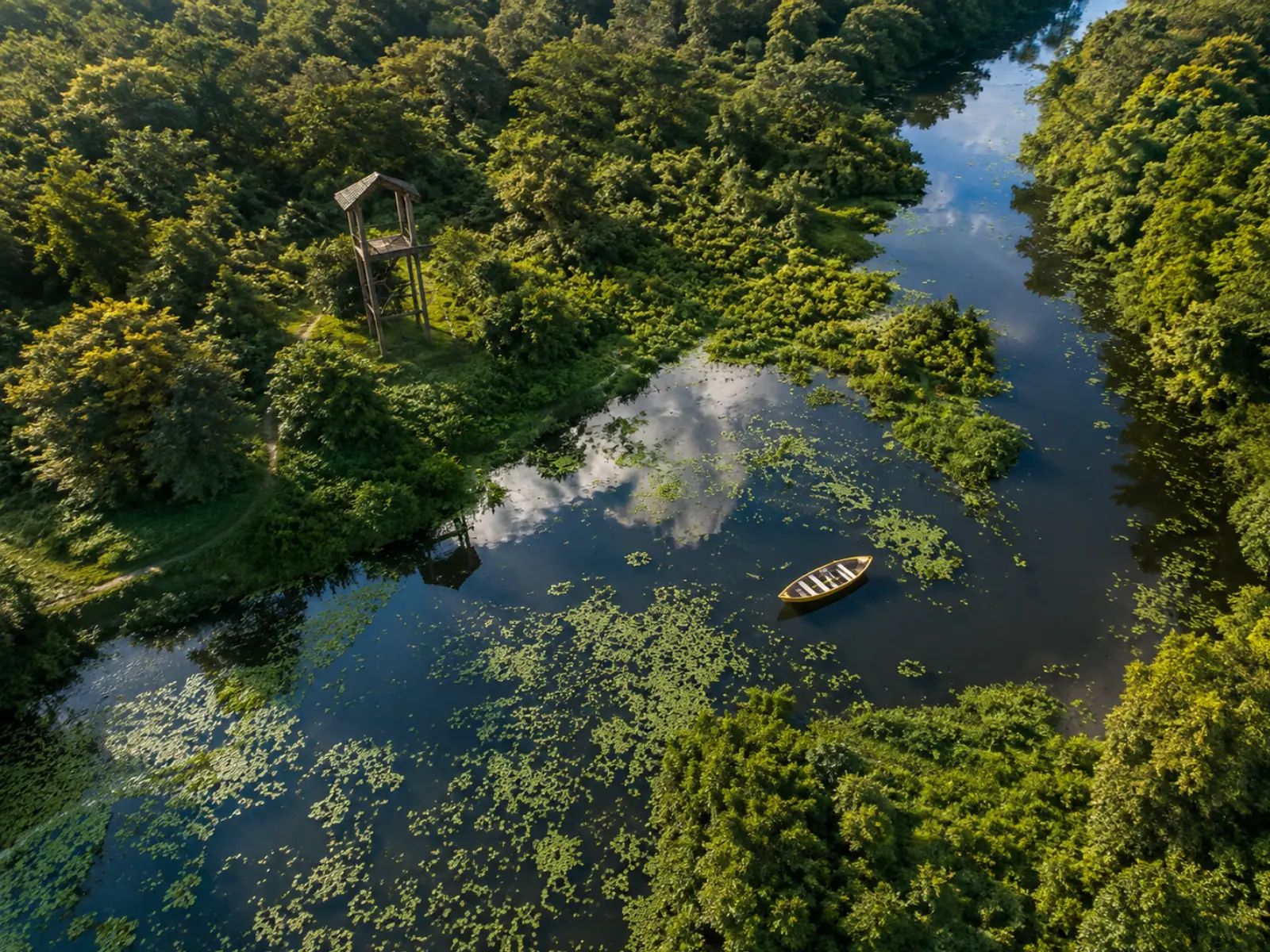 Aerial view of a boat on the still water of Sikiajhora with a watchtower amid dense forest