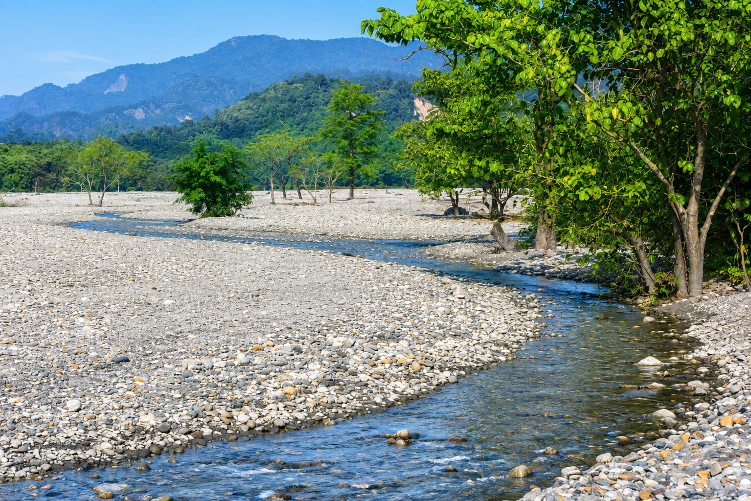 The braided Jayanti riverbed of white pebbles with forested Bhutan hills rising behind