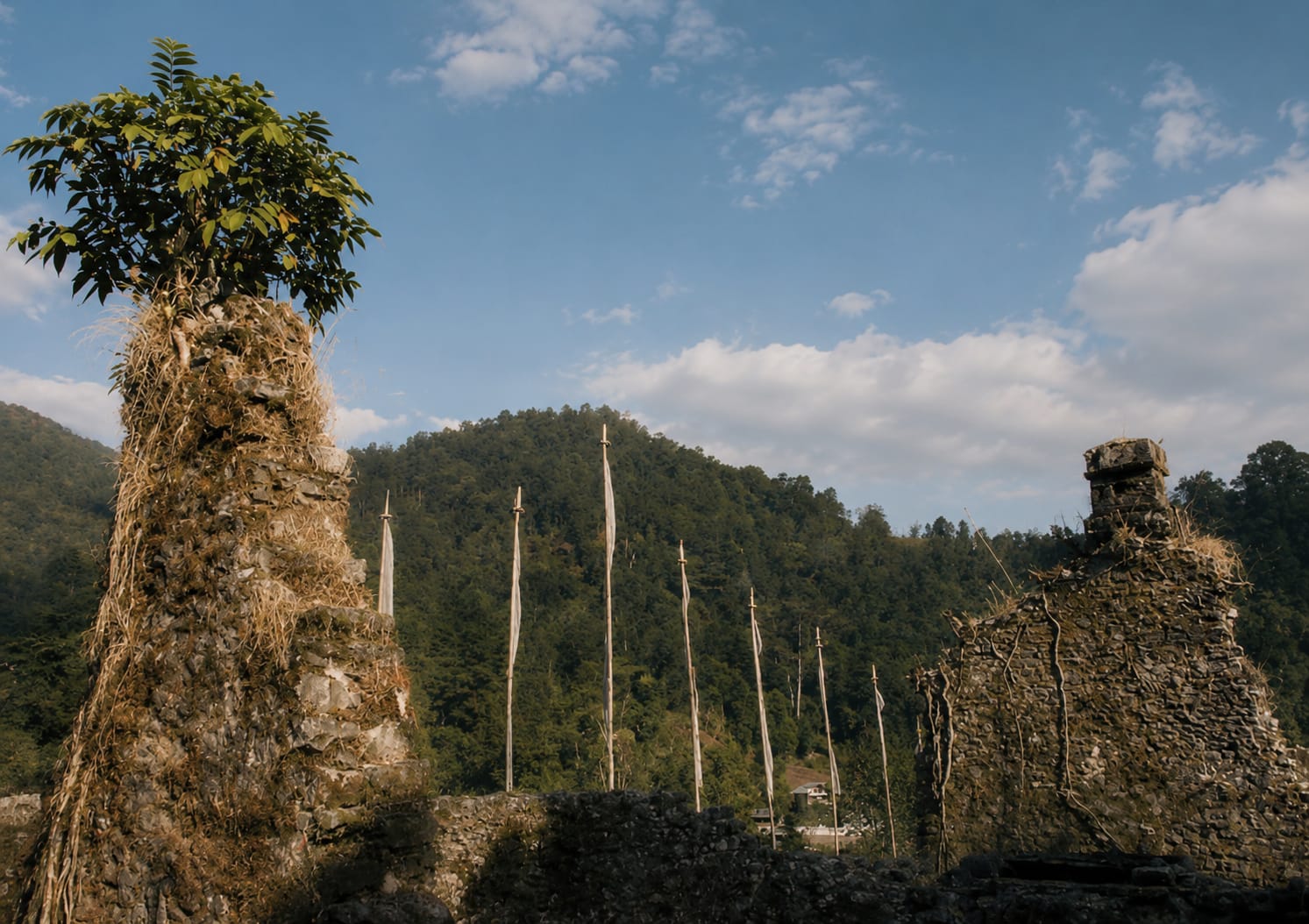 Prayer flags rising above old stone walls at Lepchakha, with forested Buxa hills beyond